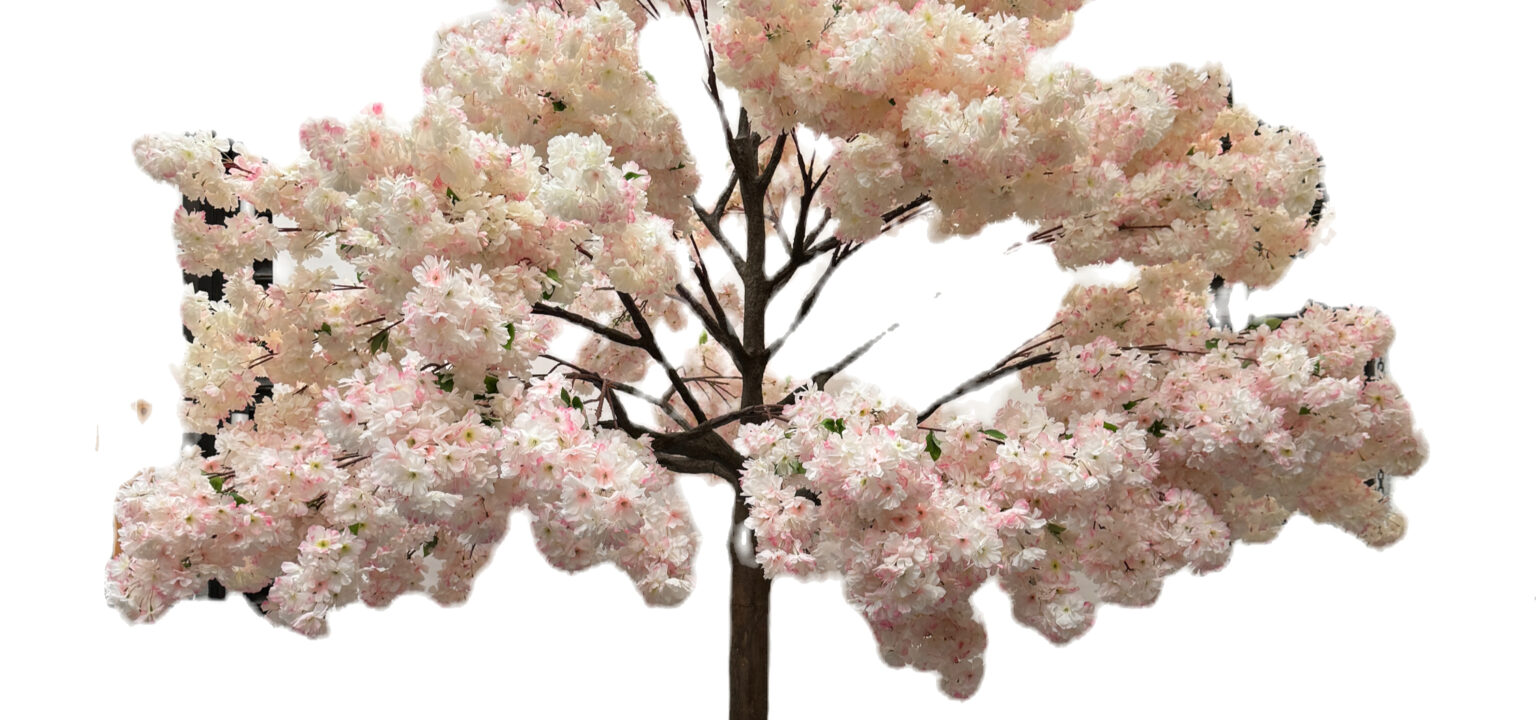 3.6m Tree Cherry Blossom - Darkstar Events Uk