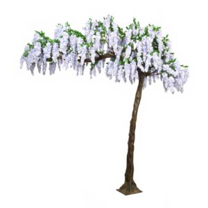 Canopy Tree Wisteria
