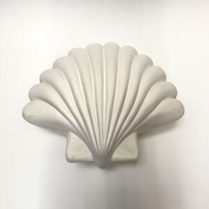 Giant Clam Shell